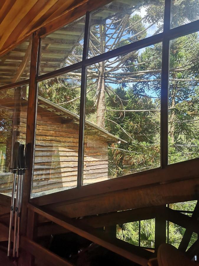 Alive Eco Hut Pousada Монти-Верди Экстерьер фото