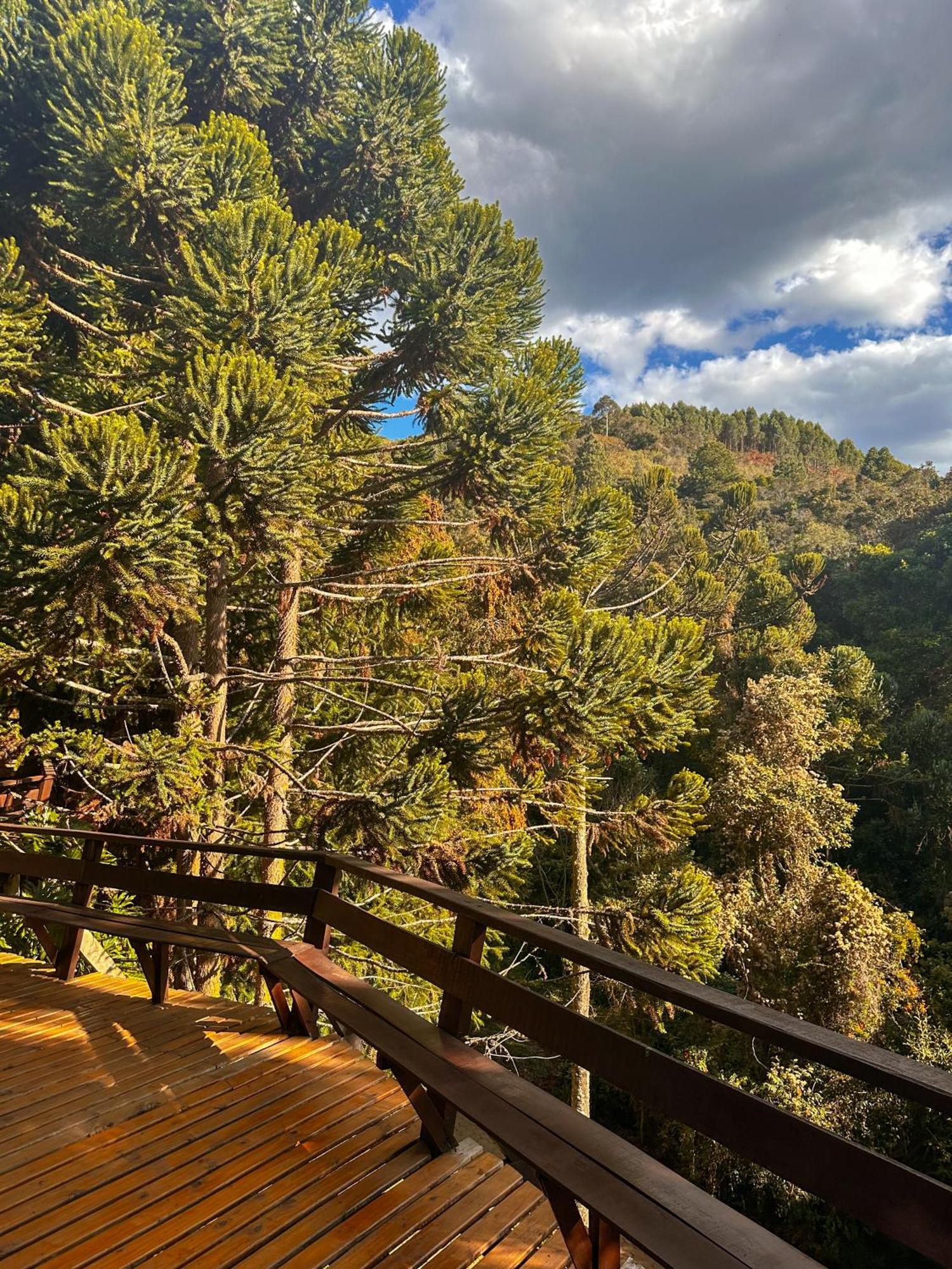 Alive Eco Hut Pousada Монти-Верди Экстерьер фото